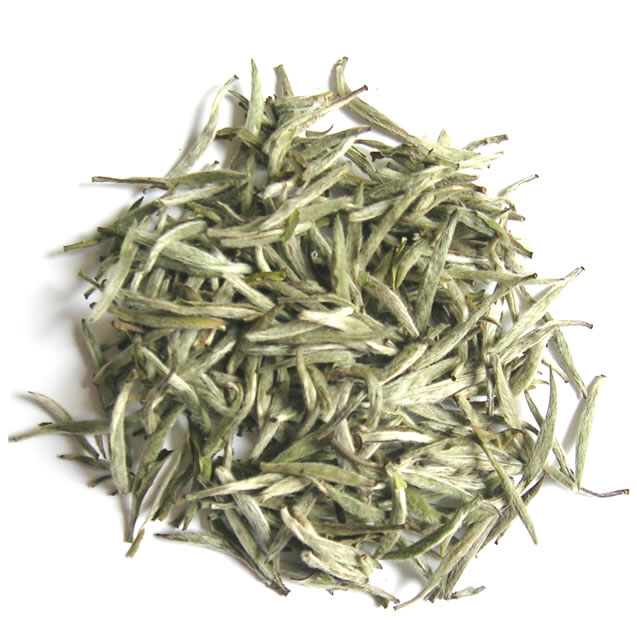 Bạch Trà